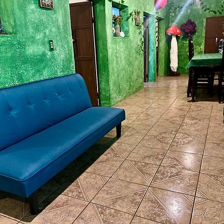Wonderland Hostel Антигуа-Гватемала Экстерьер фото