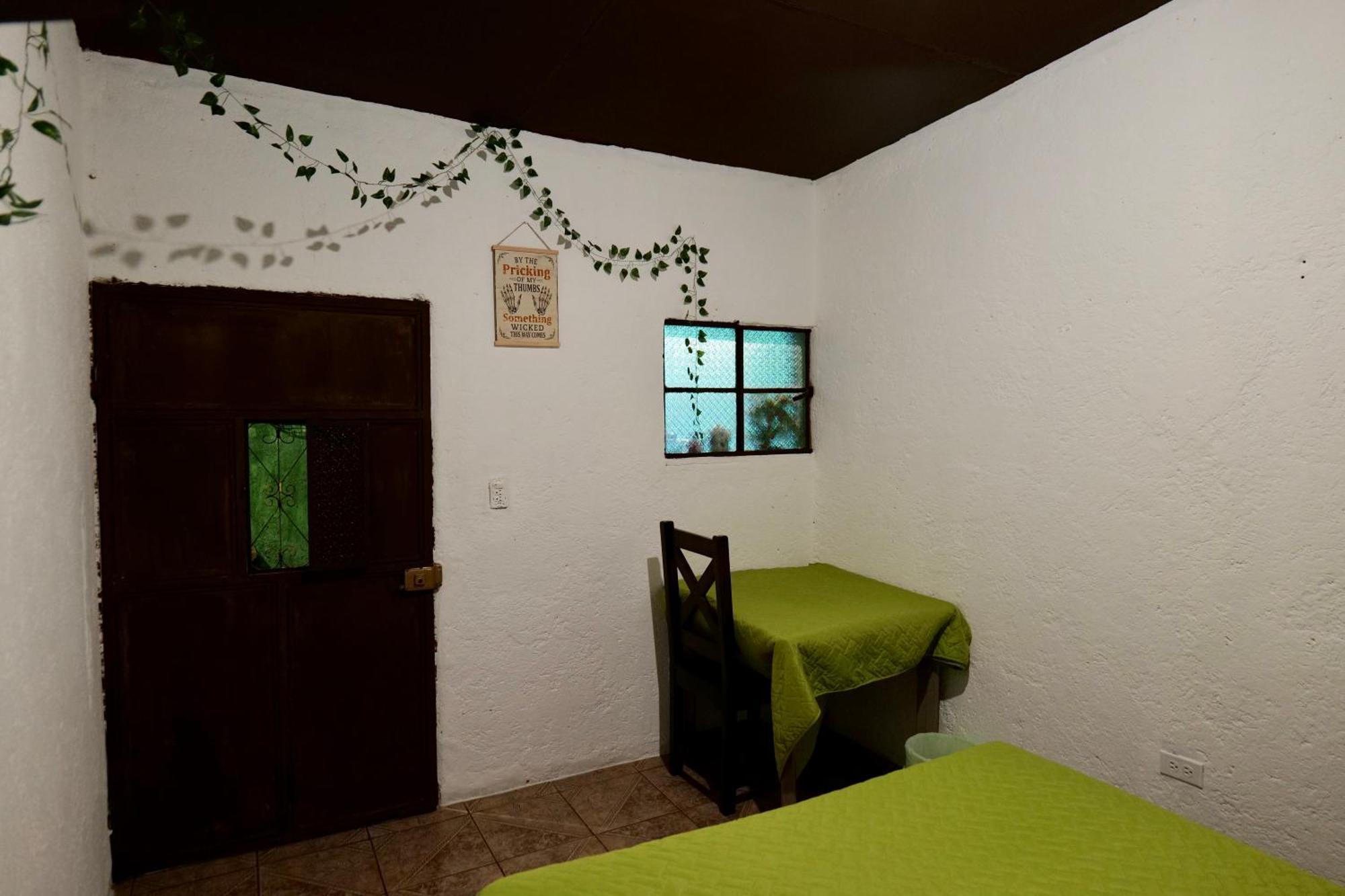 Wonderland Hostel Антигуа-Гватемала Экстерьер фото